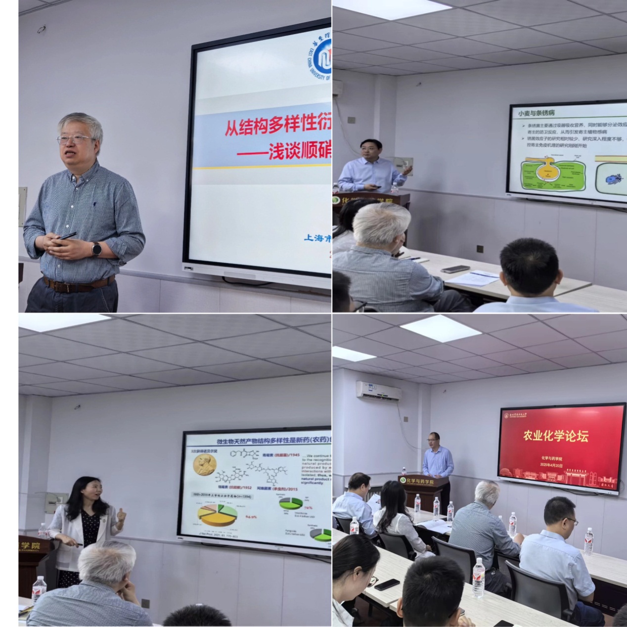 亚洲av
成功举办农业化学论坛（一）