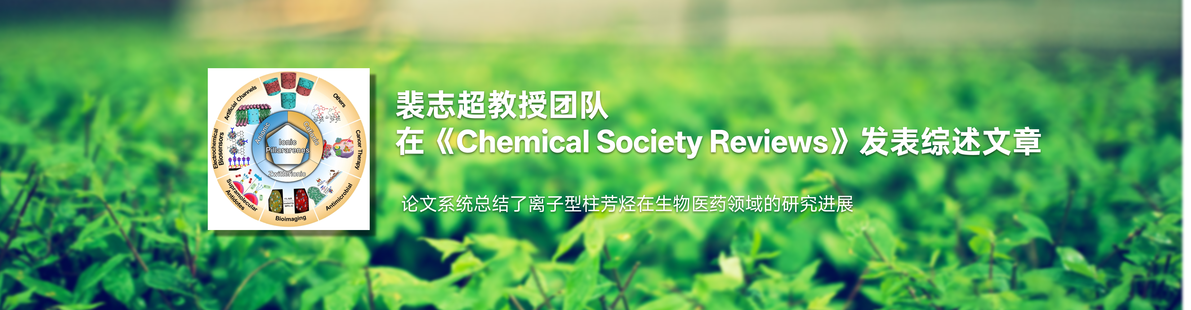 亚洲av
裴志超教授团队在《Chemical Society Reviews》发表综述文章