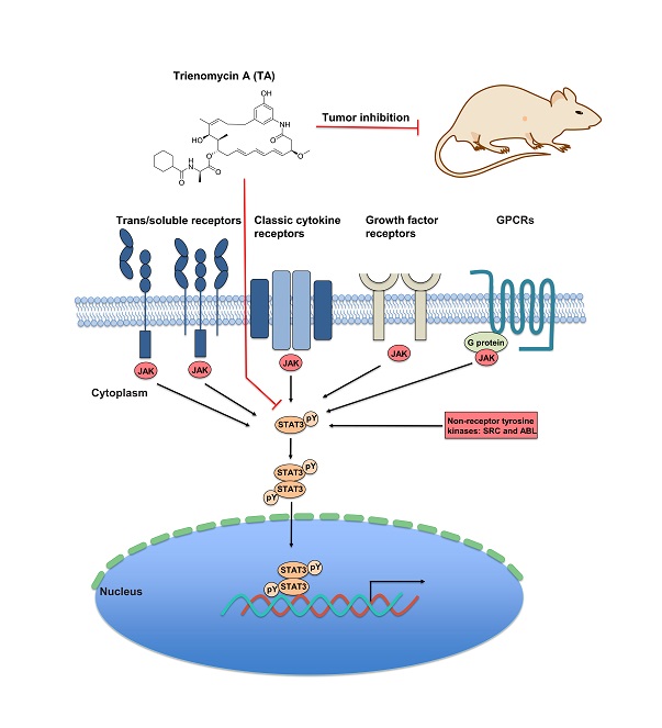 862d32cefbb54236996ac0575ac56d69.jpg 配图.jpg