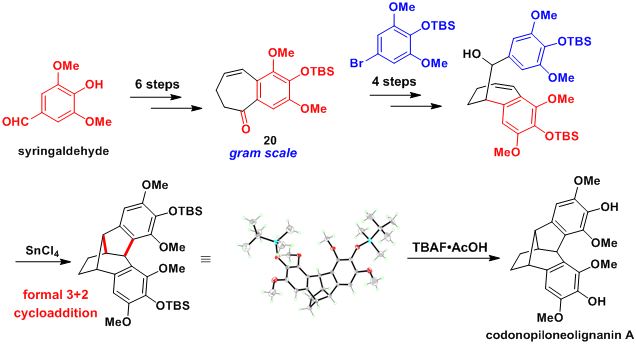 9297730fe0c6444f891a2685b570d97e.png QQ截图20210727143052.png